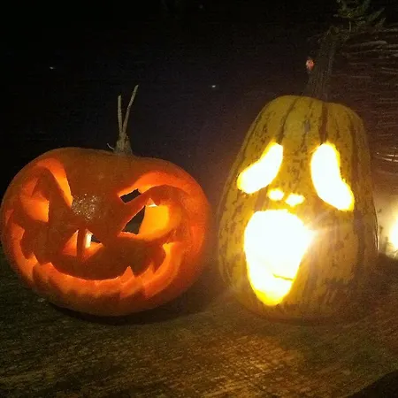 Dom wakacyjny Hexenhaus Am Waldesrand