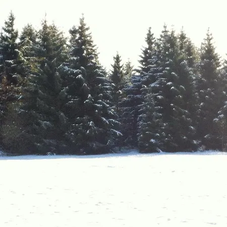 Dom wakacyjny Hexenhaus Am Waldesrand Wernigerode