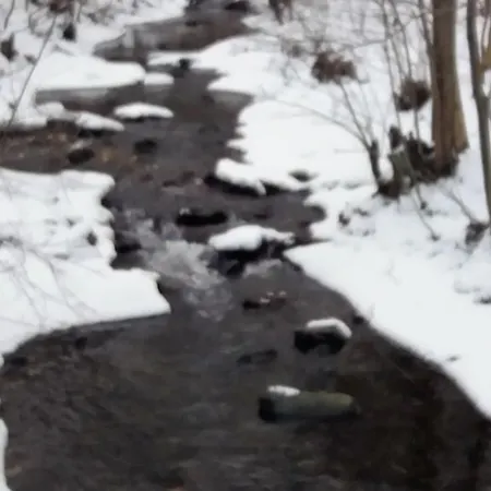 Hexenhaus Am Waldesrand * Wernigerode