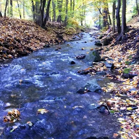 Holiday home Hexenhaus Am Waldesrand