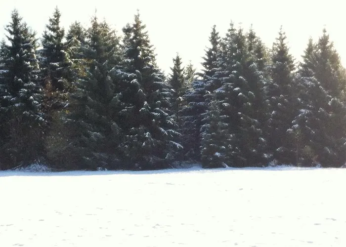 펜션 Hexenhaus Am Waldesrand 베르니게로데