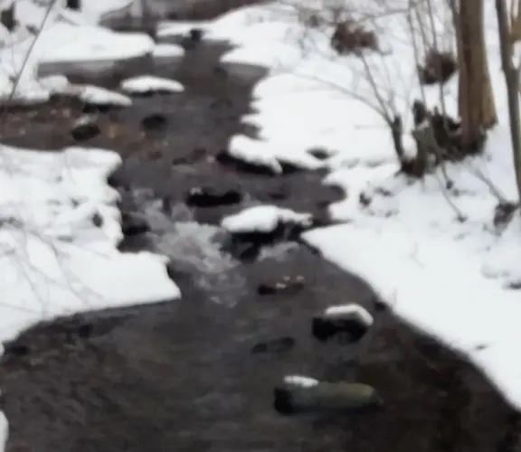 Hexenhaus Am Waldesrand * 베르니게로데