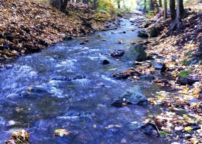 펜션 Hexenhaus Am Waldesrand