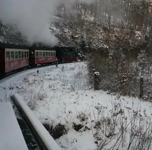 Hexenhaus Am Waldesrand ורניגרוד